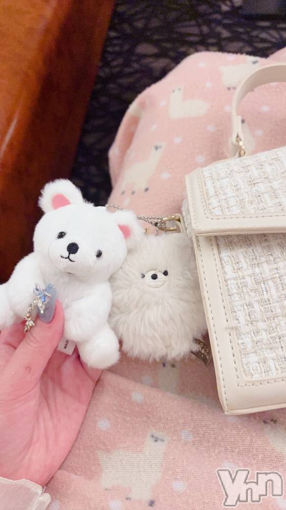 ���ܥ���Х��顦�����CLUB WONDER(����� ������) �ʤ���8��1���̥�֥�����🐻‍❄️🤍��