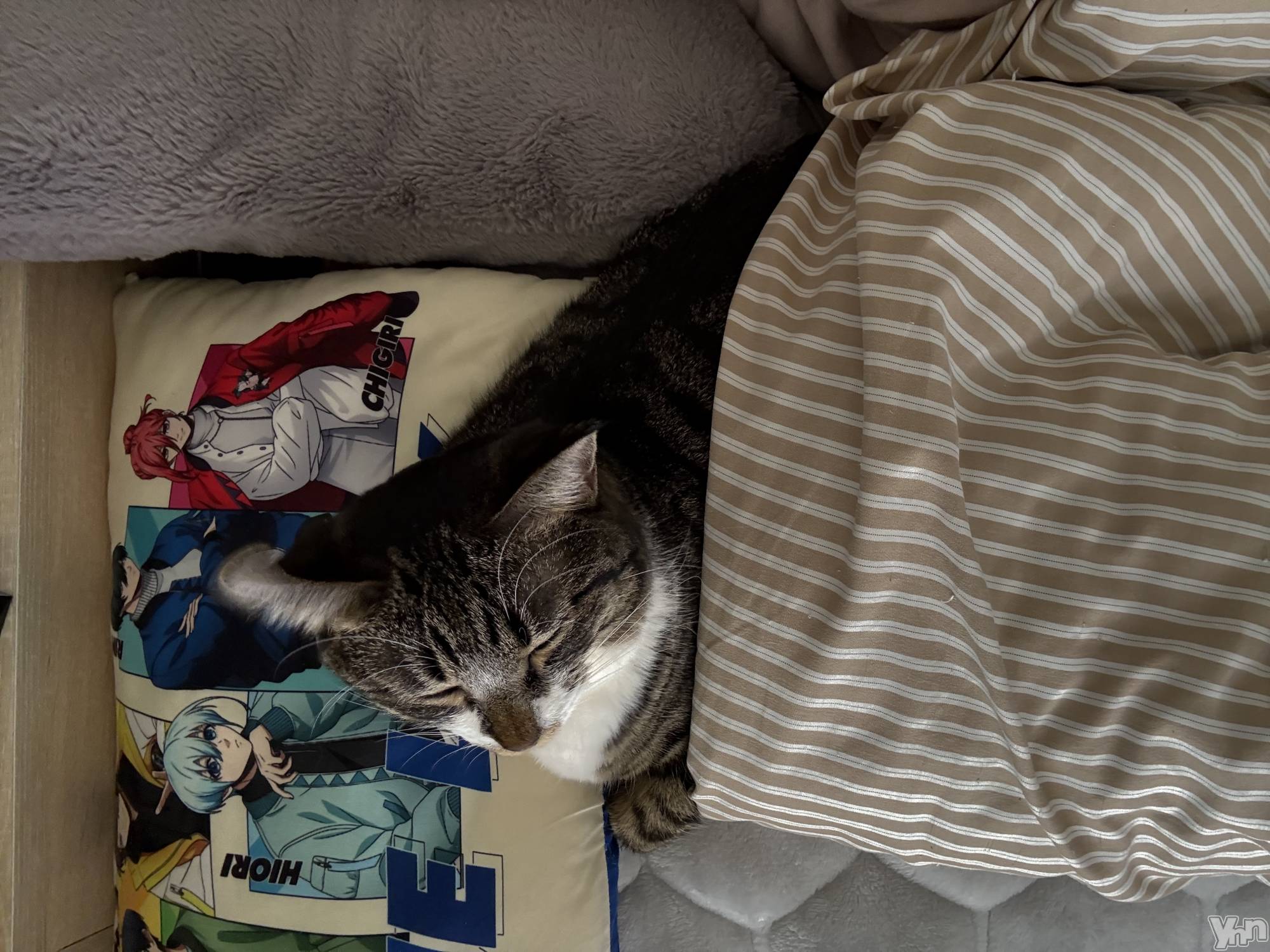 ���ܥ���Х��顦�����CLUB WONDER(����� ������) ��2026ǯ3��5���̥�֥����ֺ������ޤ�������