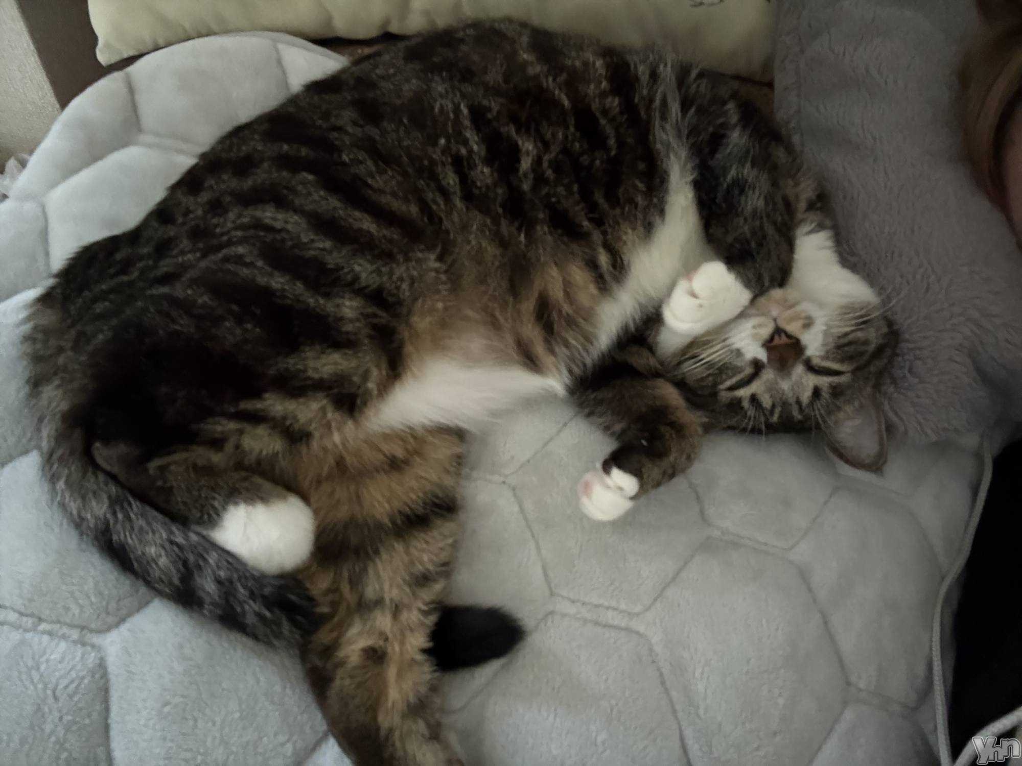 ���ܥ���Х��顦�����CLUB WONDER(����� ������) ��2026ǯ4��25���̥�֥����֤ˤ��ˤ��🐾��