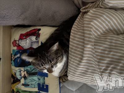 ���ܥ���Х��顦�����CLUB WONDER(����� ������) �ʤ�(20)��3��5���̥�֥����ֺ������ޤ�������