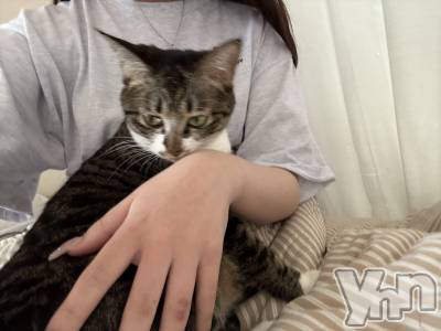 ���ܥ���Х��顦�����CLUB WONDER(����� ������) �ʤ�(20)��3��26���̥�֥����֤��פ��֤�Ǥ�🙇🏼‍��️��