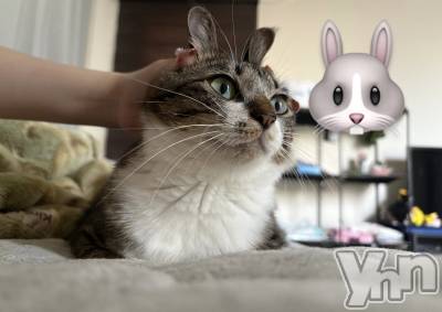 ���ܥ���Х��顦�����CLUB WONDER(����� ������) �ʤ�(21)��6��5���̥�֥����֤ˤ��🐈🐇��