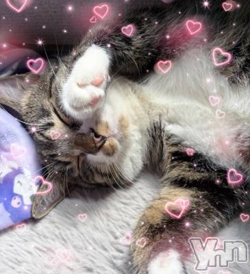���ܥ���Х��顦�����CLUB WONDER(����� ������) �ʤ�(21)��7��16���̥�֥�����🐱��