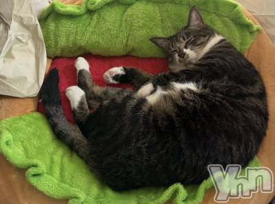 ���ܥ���Х��顦�����CLUB WONDER(����� ������) �ʤ�(21)��10��3���̥�֥�����🌭🐈🐾��