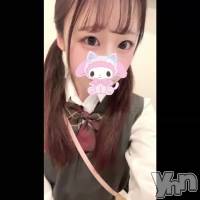 🎀��Ȥ�����🎀