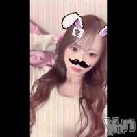 �������ޤ�����