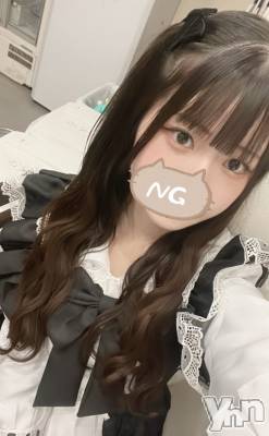 ���� ǯ��23�� / ��Ĺ151cm