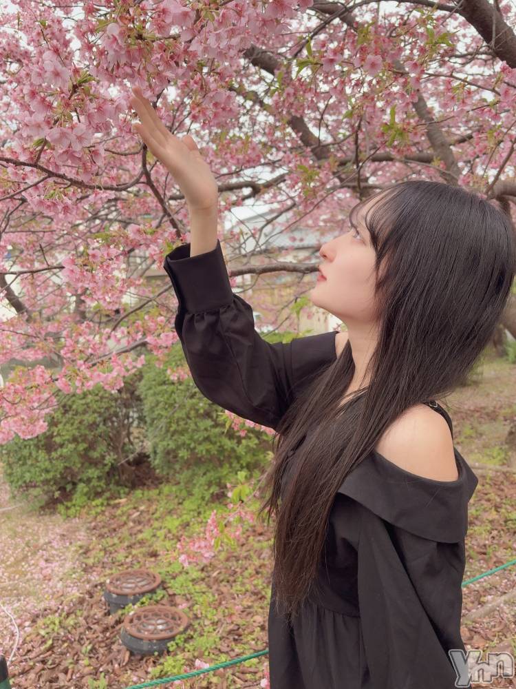 ���ܥ��ʥå��������륺�С����󥫥ե� Home Room(���󥫥ե��ۡ���롼��) ���Ȥ�2��25���̥�֥����֤������