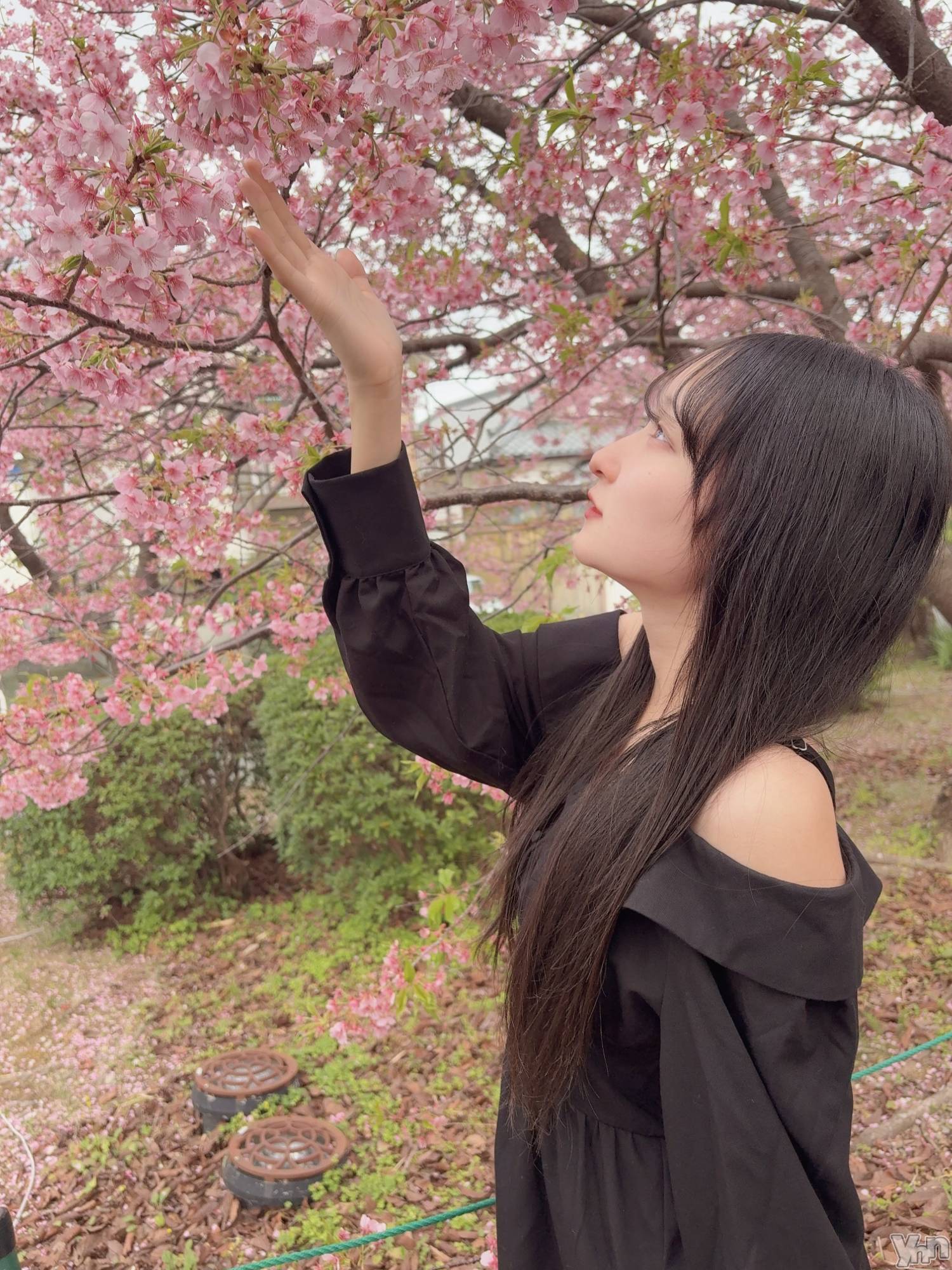 ���ܥ��ʥå��������륺�С����󥫥ե� Home Room(���󥫥ե��ۡ���롼��) ��2026ǯ2��25���̥�֥����֤������