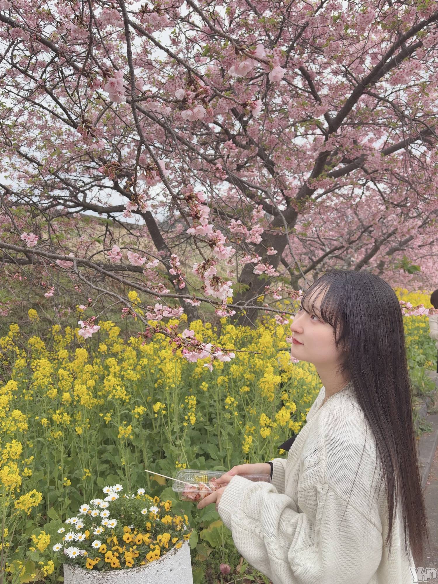 ���ܥ��ʥå��������륺�С����󥫥ե� Home Room(���󥫥ե��ۡ���롼��) ��2026ǯ3��2���̥�֥�����2��꤬�Ȥ��������ޤ���🧚‍��️��