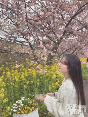 ���ܥ��ʥå��������륺�С����󥫥ե� Home Room(���󥫥ե��ۡ���롼��) ����(24)��3��2���̥�֥�����2��꤬�Ȥ��������ޤ���🧚‍��️��