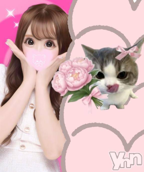 甲府ソープBARUBORA(バルボラ)ころね(20)の2026年2月7日写メブログ「ねこかわいい」