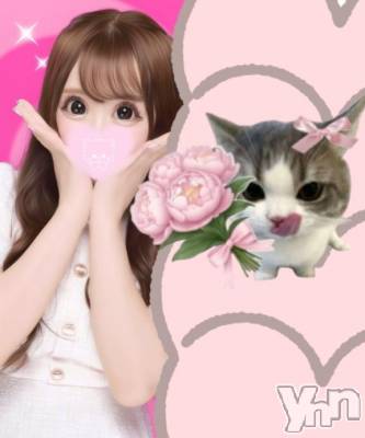 甲府ソープ BARUBORA(バルボラ) ころね(20)の2月7日写メブログ「ねこかわいい」