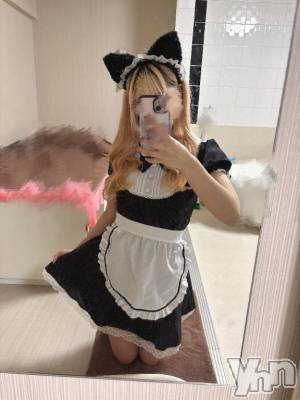 甲府ソープ オレンジハウス にこ(27)の2月26日写メブログ「にゃーん」