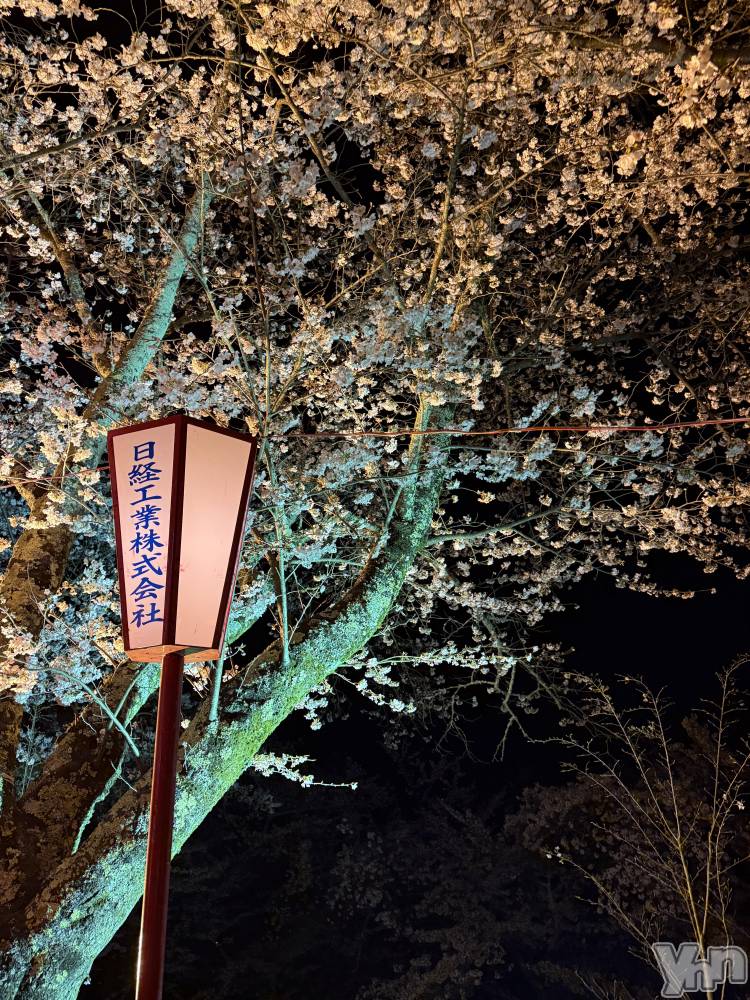 ���ܥ���Х��顦�����CLUB HEARTS(����֥ϡ���) ���֤���4��2���̥�֥����֤��Ϥ褦�������ޤ�🌕��