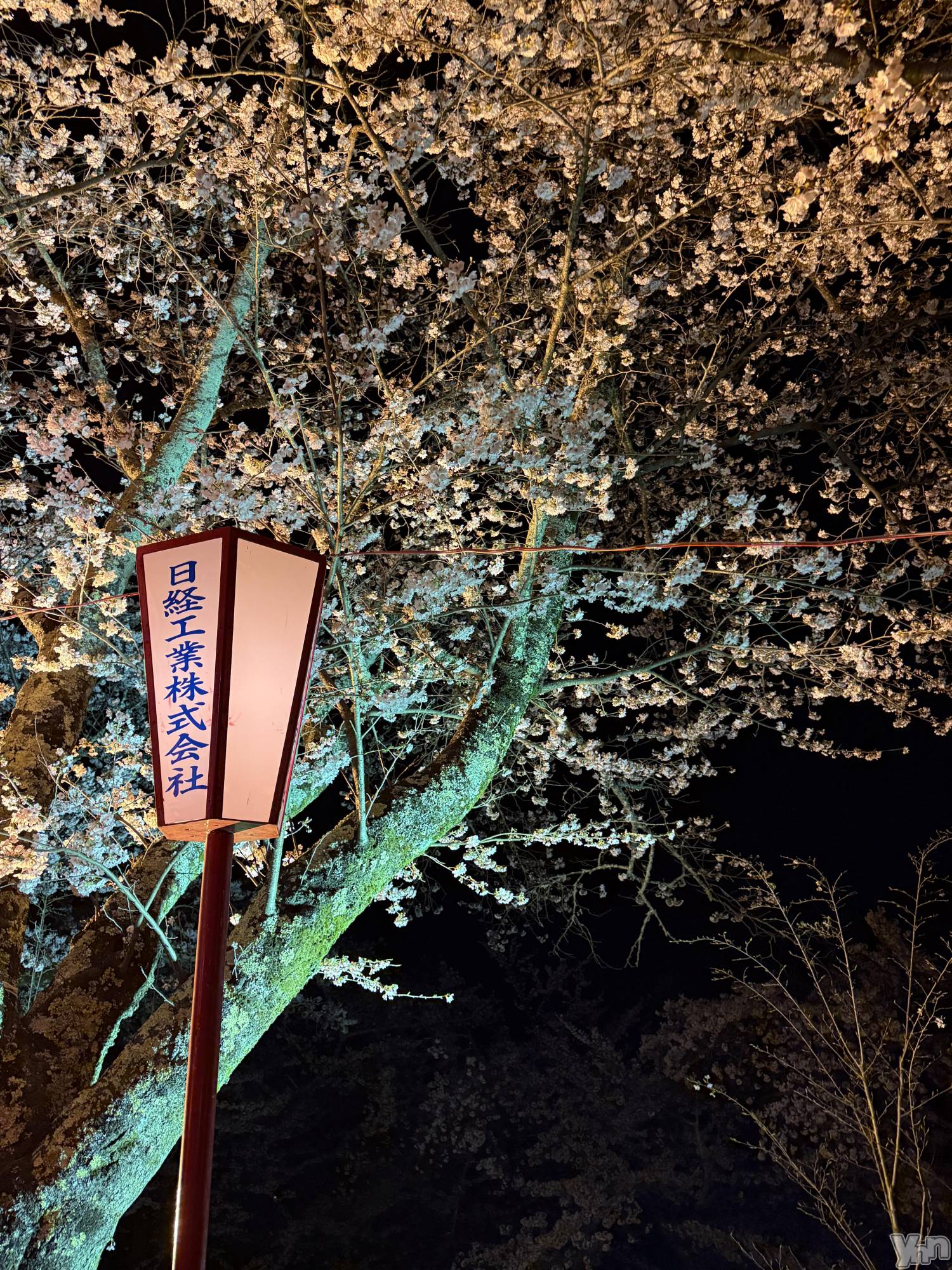 ���ܥ���Х��顦�����CLUB HEARTS(����֥ϡ���) ��2026ǯ4��2���̥�֥����֤��Ϥ褦�������ޤ�🌕��