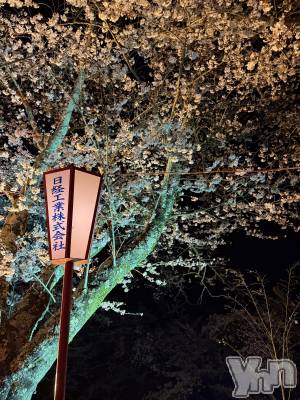 ���ܥ���Х��顦�����CLUB HEARTS(����֥ϡ���) ���֤�(20)��4��2���̥�֥����֤��Ϥ褦�������ޤ�🌕��