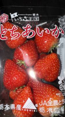 ���ܥ���Х��顦�����CLUB HEARTS(����֥ϡ���) ���֤�(20)��4��18���̥�֥����֤�����������