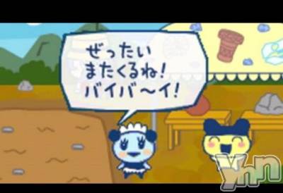 甲府ソープ BARUBORA(バルボラ) あいみ(20)の3月6日写メブログ「7日間ありがとう😽♡」