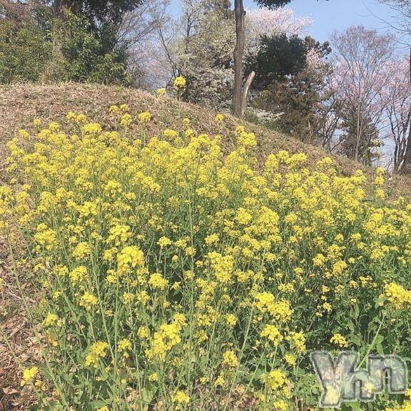 甲府デリヘル甲府人妻城(コウフヒトヅマジョウ)ゆずき(32)の2026年4月12日写メブログ「💋すみません」