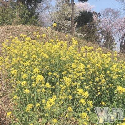 甲府デリヘル 甲府人妻城(コウフヒトヅマジョウ) ゆずき(32)の4月12日写メブログ「💋すみません」