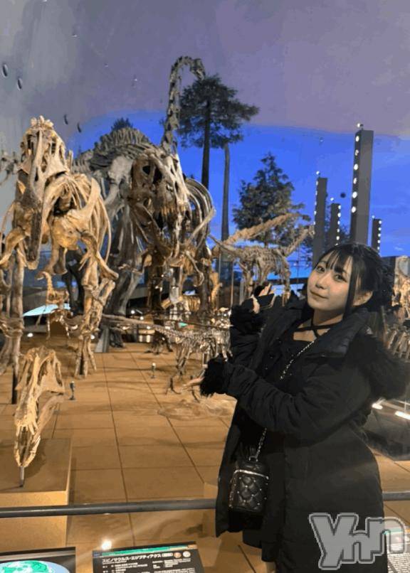 甲府ソープBARUBORA(バルボラ) ひじり(19)の3月29日写メブログ「がおー‼️」