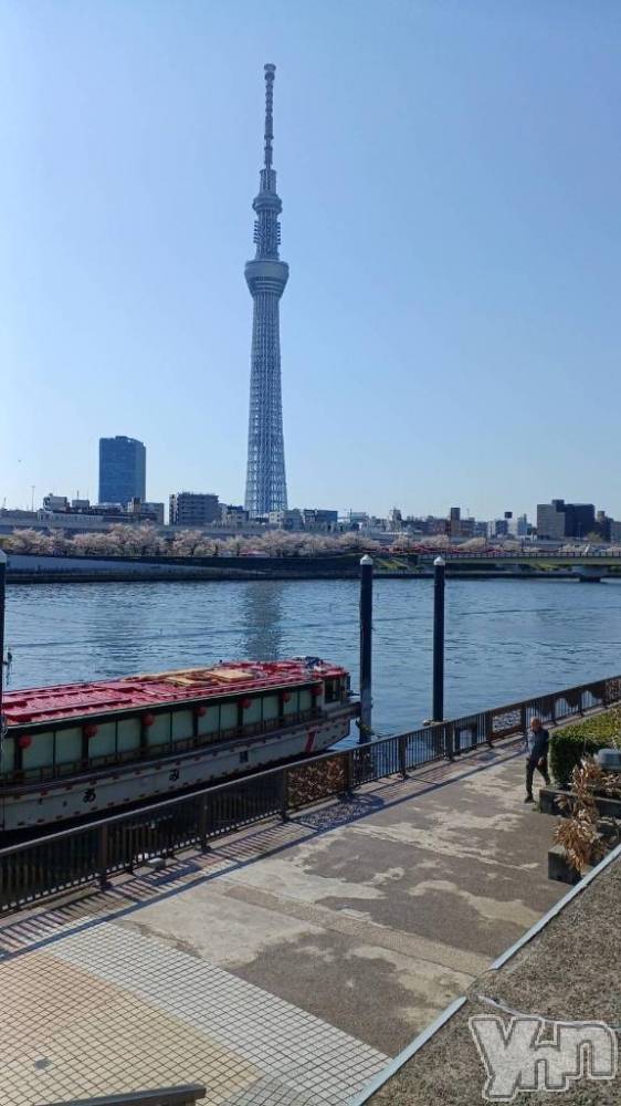 甲府デリヘル甲府人妻隊(コウフヒトヅマタイ) ちえ(47)の4月4日写メブログ「今日から出勤です❣️」