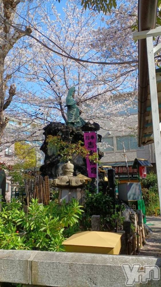 甲府デリヘル甲府人妻隊(コウフヒトヅマタイ) ちえ(47)の4月4日写メブログ「お誘いありがとうございました🙏」