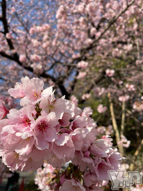 甲府デリヘル甲府人妻隊(コウフヒトヅマタイ) ちえ(47)の4月10日写メブログ「ありがとうございましたヽ(*'▽'*)ﾉ」
