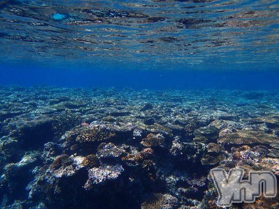 甲府デリヘル甲府人妻隊(コウフヒトヅマタイ)ちえ(47)の2026年3月22日写メブログ「オキニトークからのS様❣️」