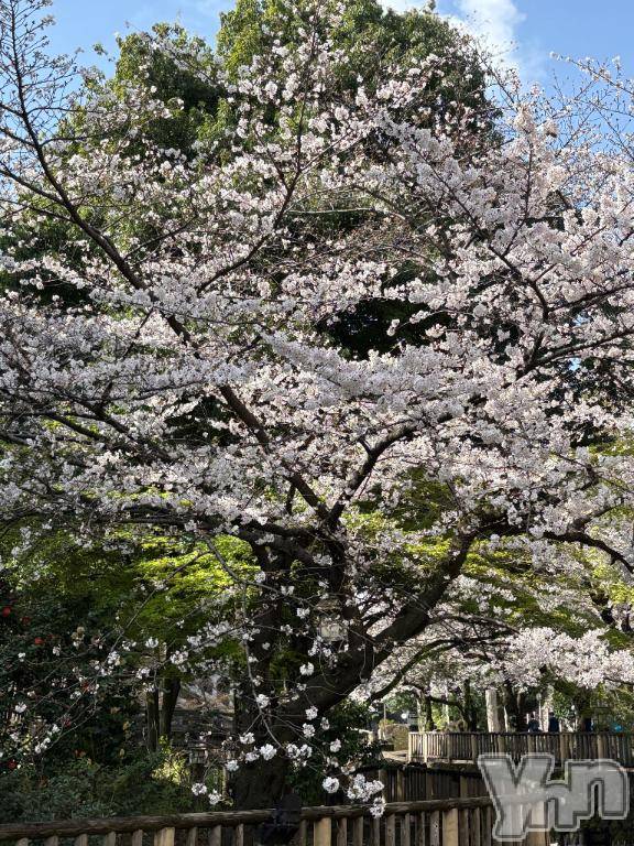 甲府デリヘル甲府人妻隊(コウフヒトヅマタイ)ちえ(47)の2026年3月27日写メブログ「今日は出掛ける途中」