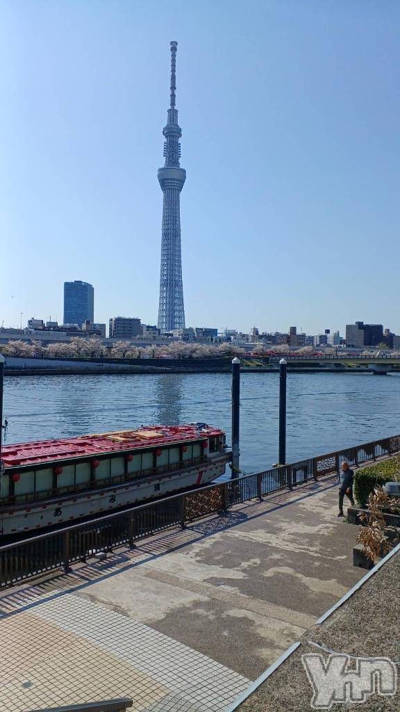 甲府デリヘル甲府人妻隊(コウフヒトヅマタイ)ちえ(47)の2026年4月4日写メブログ「今日から出勤です❣️」