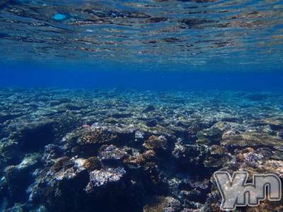 甲府デリヘル 甲府人妻隊(コウフヒトヅマタイ) ちえ(47)の3月22日写メブログ「オキニトークからのS様❣️」