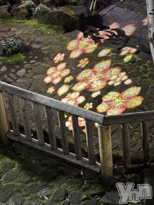 甲府デリヘル 甲府人妻隊(コウフヒトヅマタイ) ちえ(47)の3月31日写メブログ「明日から4月！」