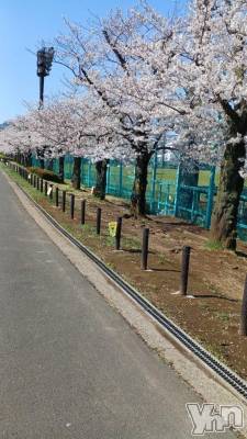 甲府デリヘル 甲府人妻隊(コウフヒトヅマタイ) ちえ(47)の4月3日写メブログ「明日から出勤します❣️」