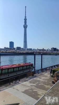 甲府デリヘル 甲府人妻隊(コウフヒトヅマタイ) ちえ(47)の4月4日写メブログ「今日から出勤です❣️」