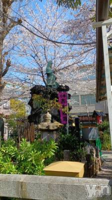 甲府デリヘル 甲府人妻隊(コウフヒトヅマタイ) ちえ(47)の4月4日写メブログ「お誘いありがとうございました🙏」