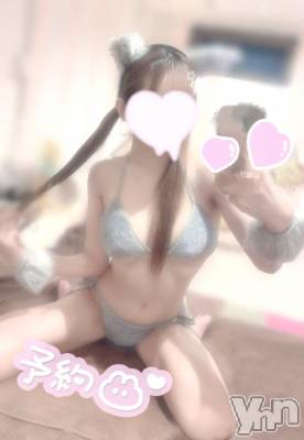 甲府ソープ オレンジハウス めい(23)の4月8日写メブログ「細身巨乳にゃんこ🐈🐈💖」