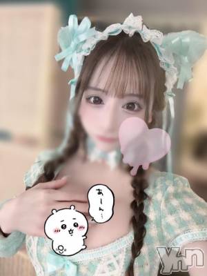 甲府ソープ オレンジハウス めい(23)の4月14日写メブログ「本日もめいちゃんいます😽💓」