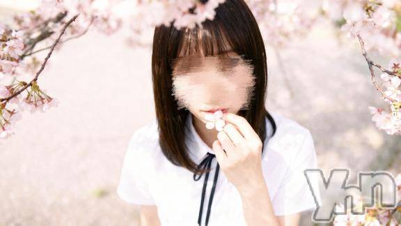 甲府ソープBARUBORA(バルボラ)体験入店さくら(20)の2026年3月28日写メブログ「4/3.4🌸新店舗出勤します˚ 🦢・₊✧」