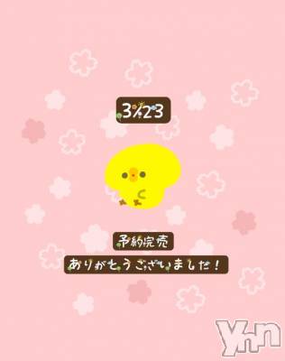 甲府ソープ BARUBORA(バルボラ) 体験入店さくら(20)の3月24日写メブログ「3/23予約完売ೀ⋆｡🌼」