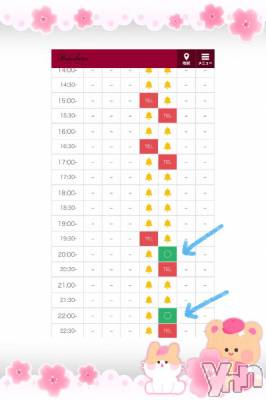 甲府ソープ BARUBORA(バルボラ) 体験入店さくら(20)の3月31日写メブログ「残り𝟚枠🍨◝ ⑅」