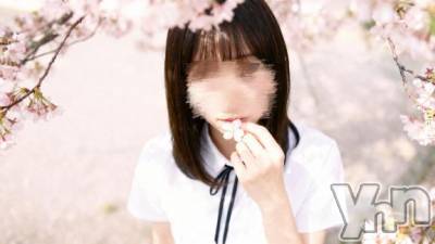 甲府ソープ BARUBORA(バルボラ) 体験入店さくら(20)の4月1日写メブログ「残り①枠(´∩｡•﹏•｡∩`)♡」