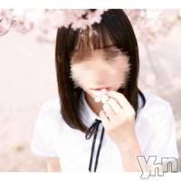 体験入店さくら