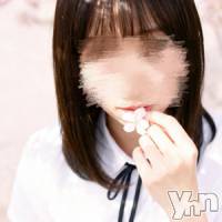 体験入店さくら