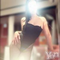 体験入店かいり