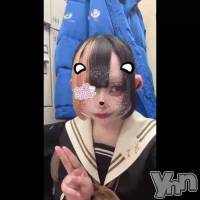 �����Ϥ��ĻҤˤ���ᴗ  ̫ ᴗ🎵
