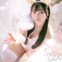 体験入店あきな