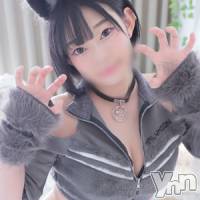 体験入店あい