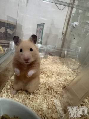 ���ܥ��ʥå��������륺�С����󥫥ե� Home Room(���󥫥ե��ۡ���롼��) �ʤ�(20)��8��9���̥�֥����ֽ뤹���ޤ���!?��